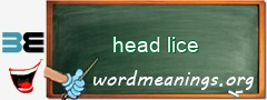 WordMeaning blackboard for head lice